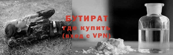 сатива Чекалин